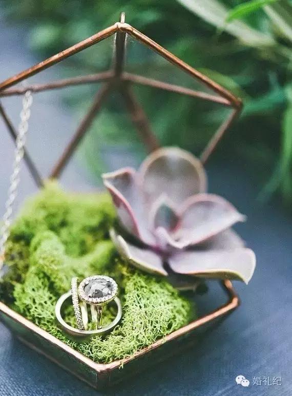 鏄庢槦鍚屾閽荤煶鎴掓寚,鏄庢槦鍚屾褰╁疂濠氭垝