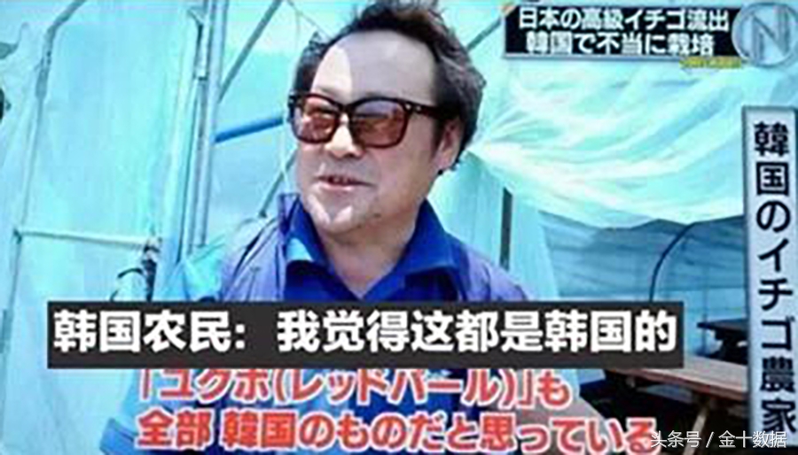韩国专门为中国人“量身定制”假货！日本控诉韩国偷盗农业技术？