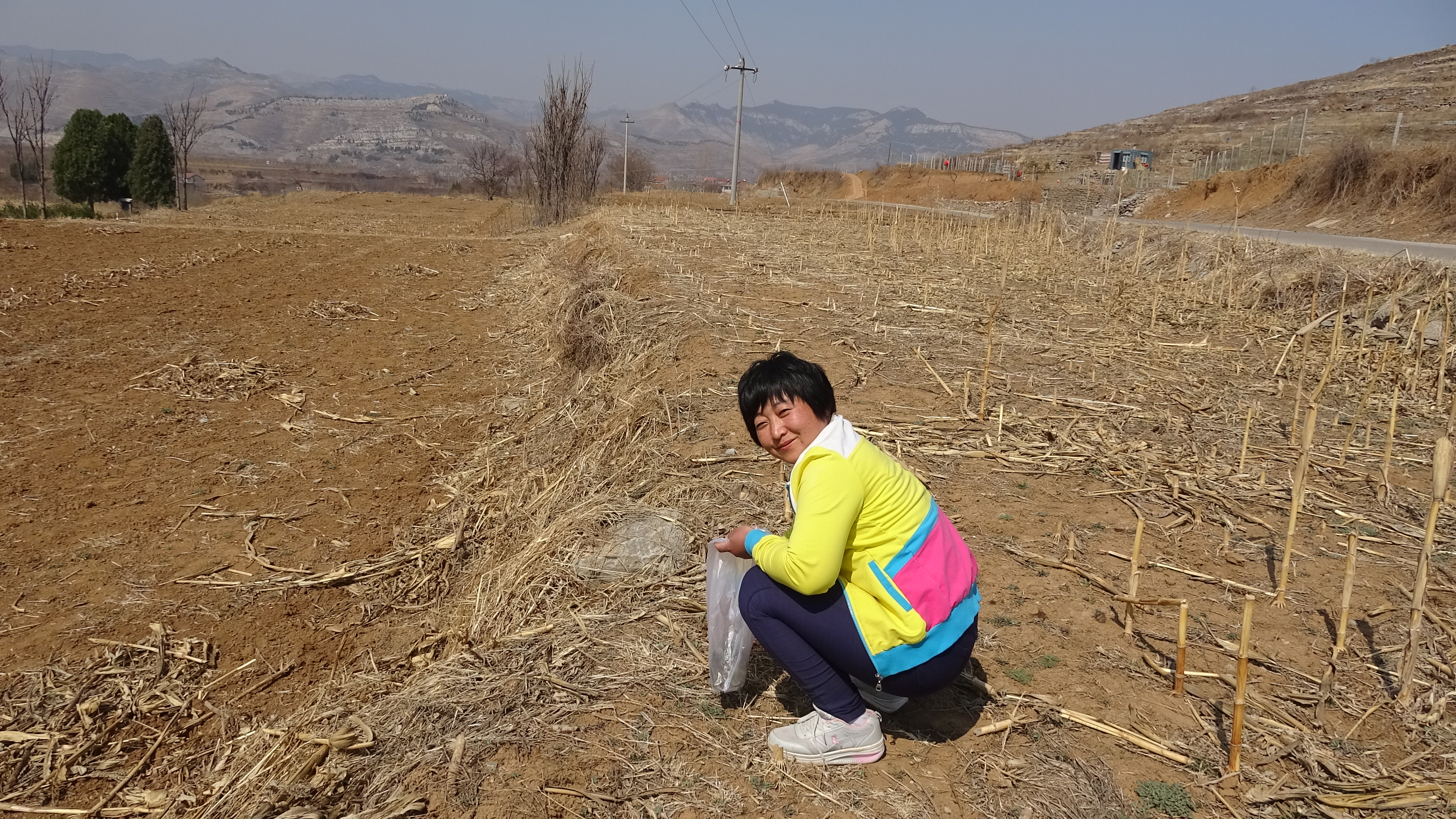 我的家在桃花山,我的家在桃花山全曲