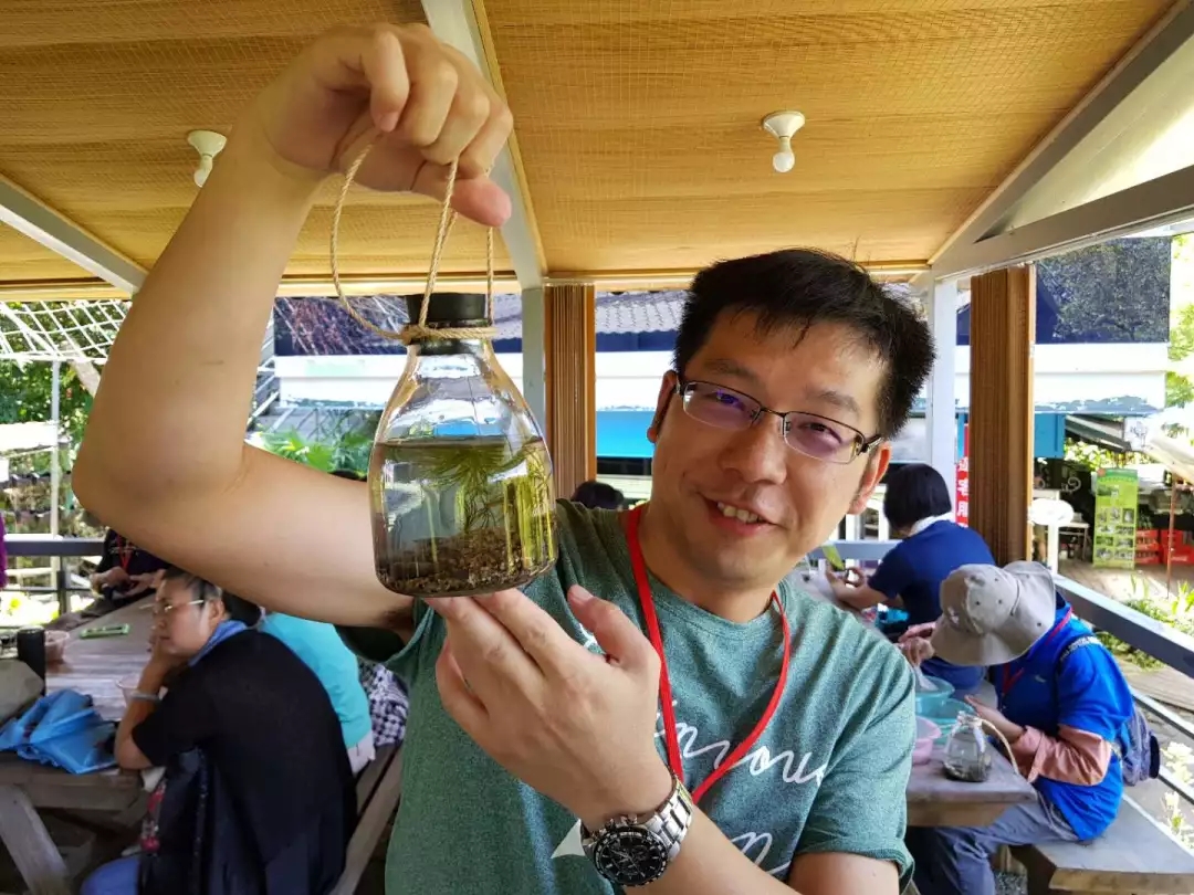 温州最美洞头民宿,温州最美民宿