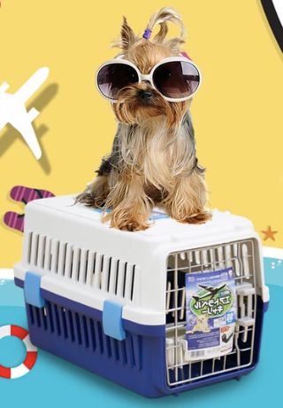 怎样挑选最好的狗窝,怎么挑选便宜又好的狗窝