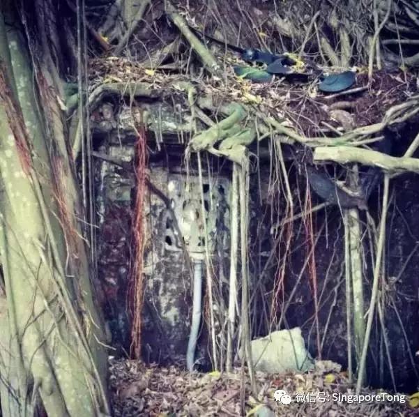 新加坡15个骨灰级秘密，知道一半你比本地人还厉害~