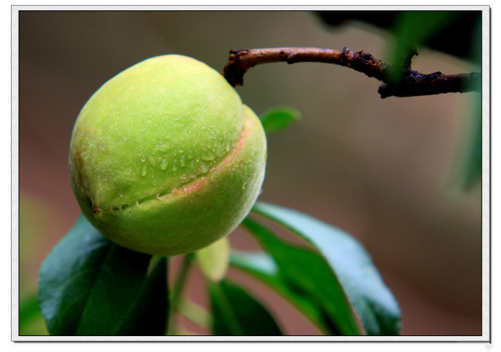 龙泉市好吃美食,丽水市龙泉市特色美食