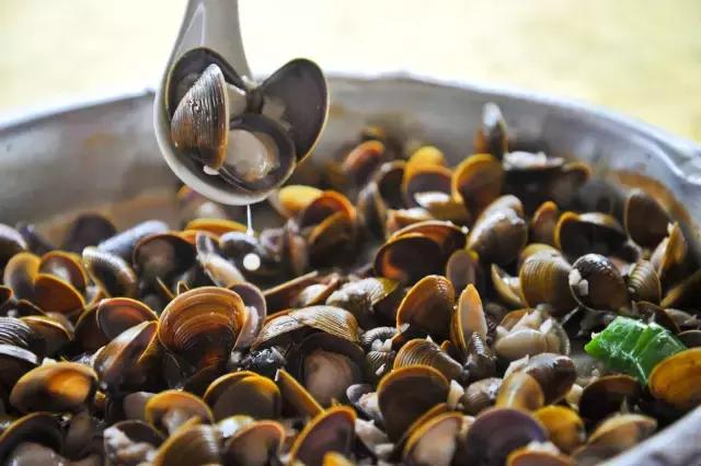 黄沙蚬新会,江门新会黄沙蚬季节