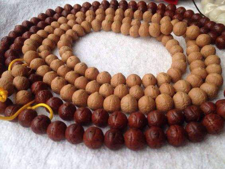 说说文玩对你的意义,凤眼菩提在尼泊尔怎么拿货