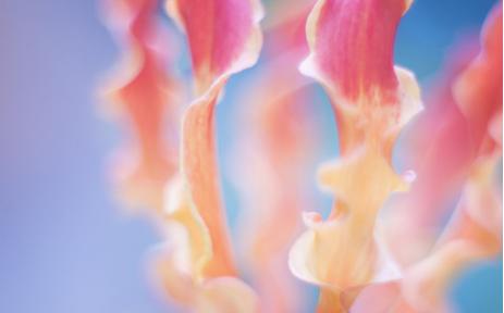 当发现女儿早恋怎么办,发现女儿早恋是该阻止还是尊重