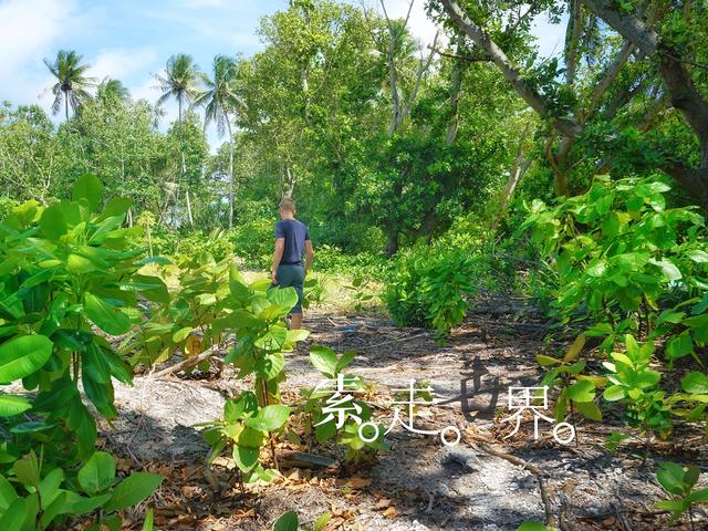 这个即将沉没的国家因专家一句话燃起了希望事实怎样自己去看