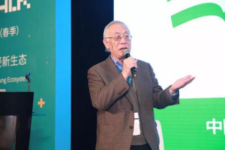 乔治汤米运动,乔治汤米长袖