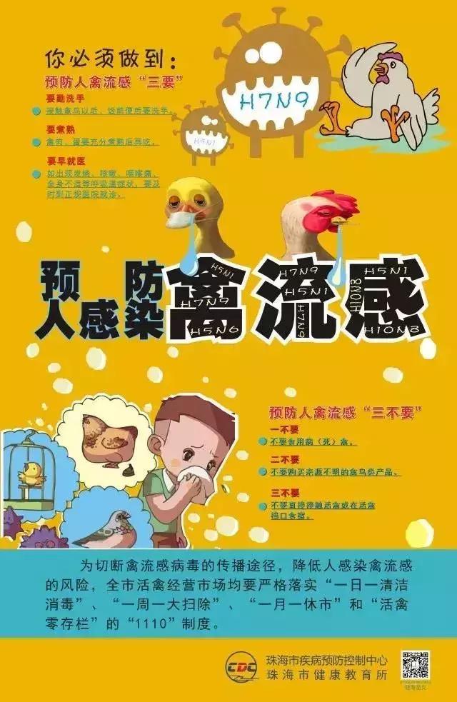 除四害消灭老鼠,治理四害老鼠