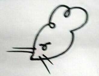 宠物小精灵简笔画咚咚鼠,朝花夕拾狗猫鼠图片简笔画