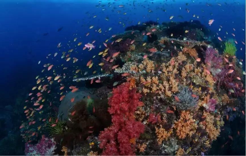 去东南亚国家怎么办签证,东南亚电子签证办理流程