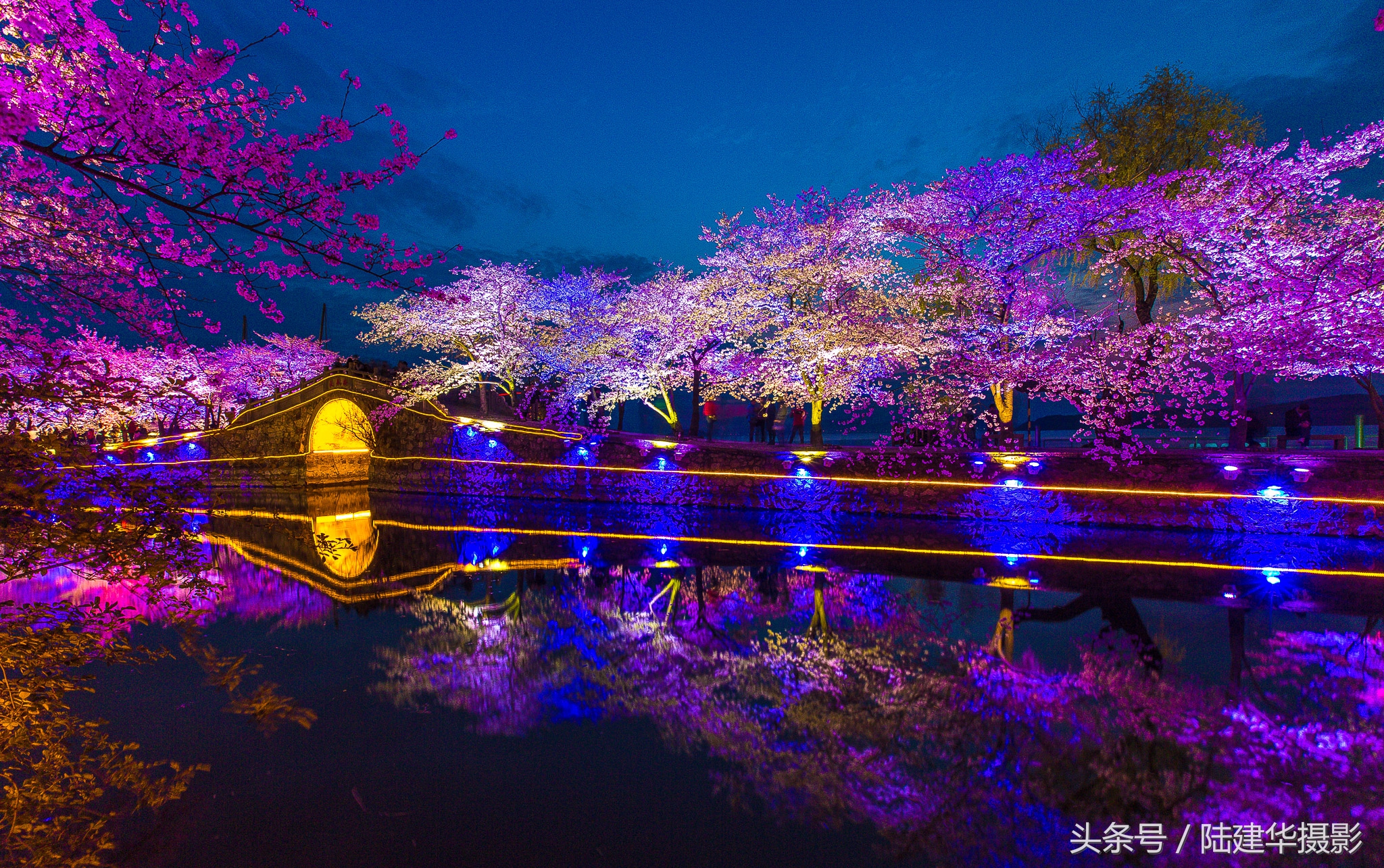 太湖赏樱花鼋头渚旅行攻略,太湖鼋头渚风景区看樱花旅游攻略