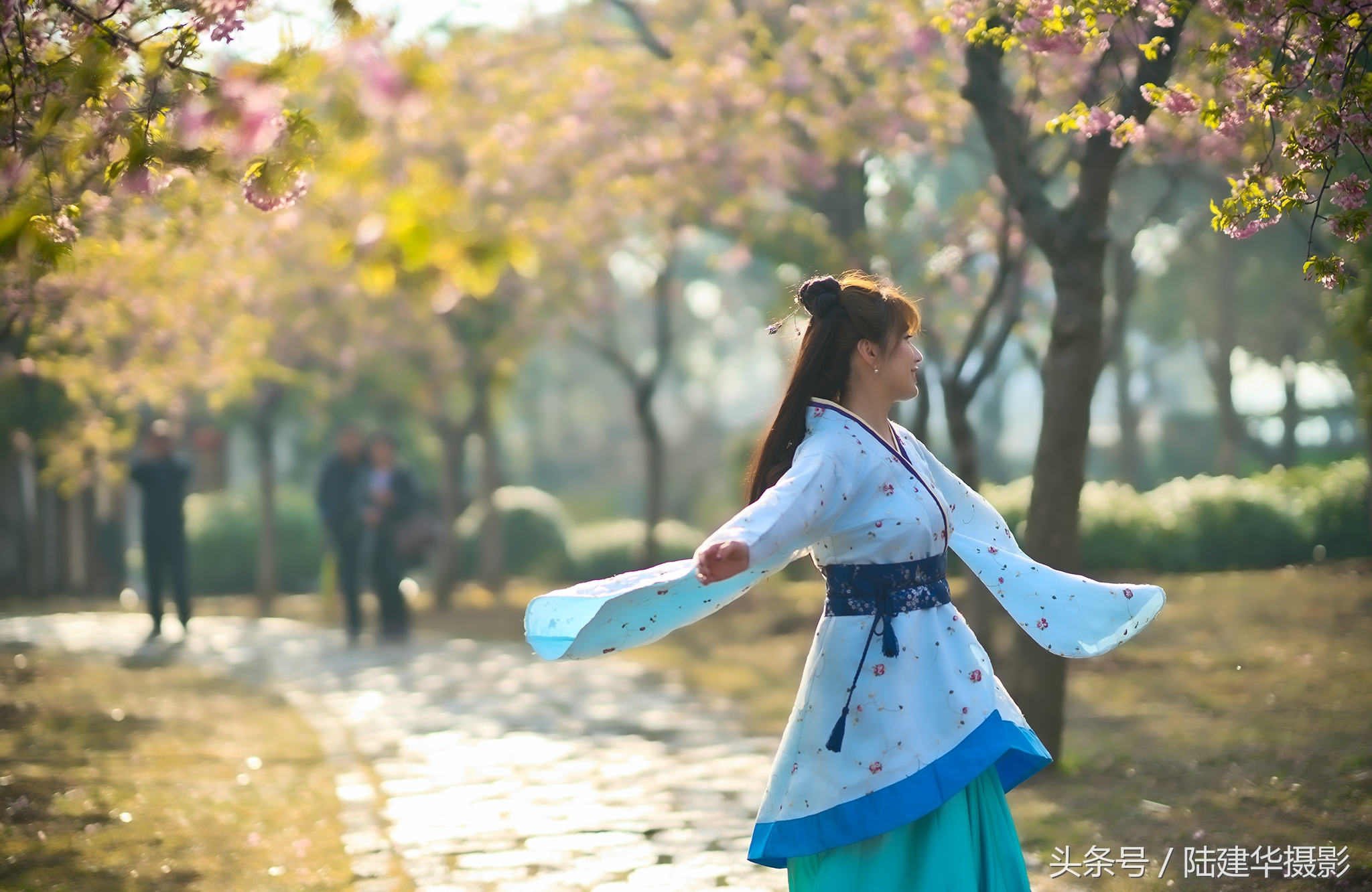 太湖赏樱花鼋头渚旅行攻略,太湖鼋头渚风景区看樱花旅游攻略