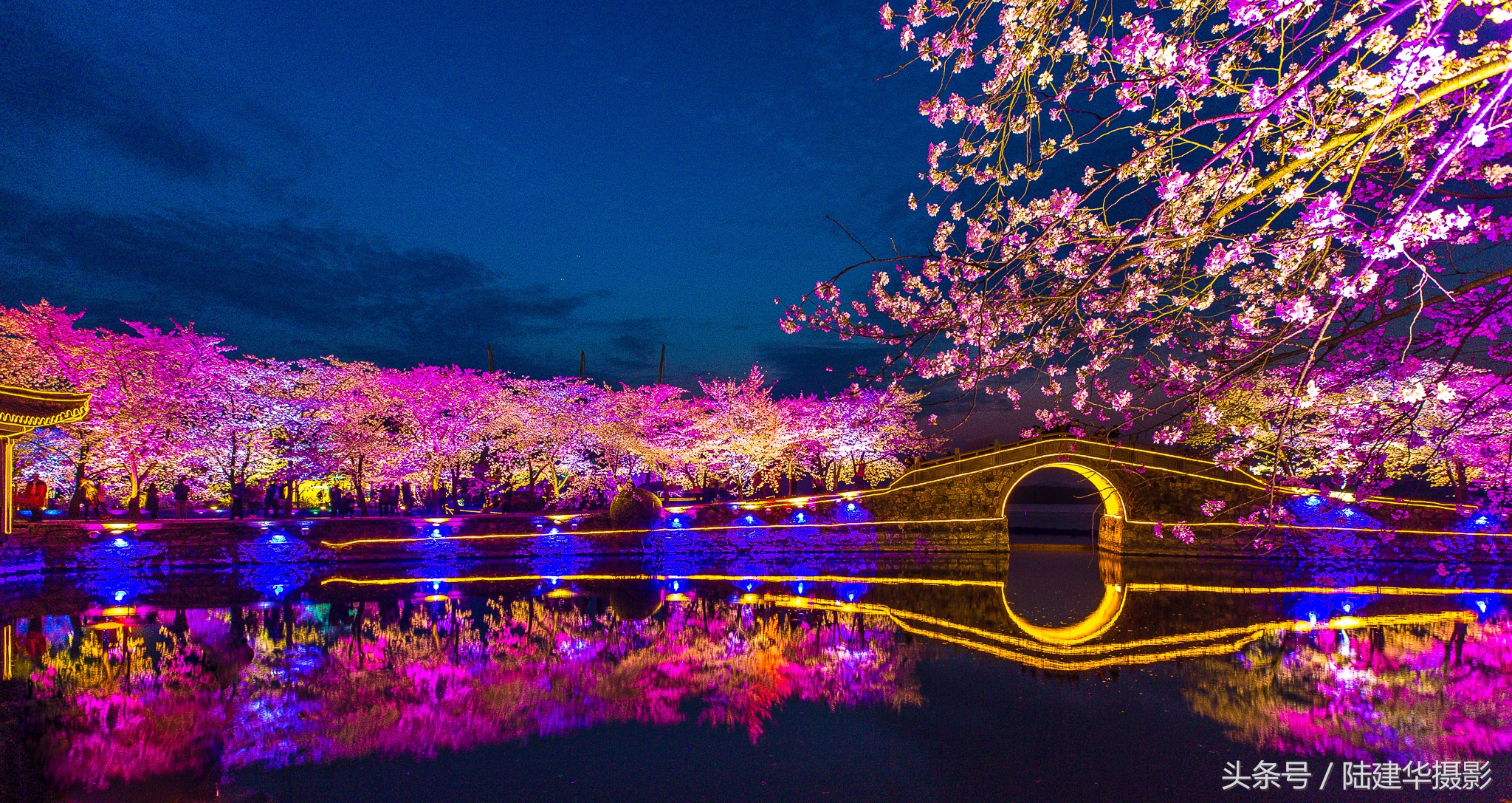 太湖赏樱花鼋头渚旅行攻略,太湖鼋头渚风景区看樱花旅游攻略