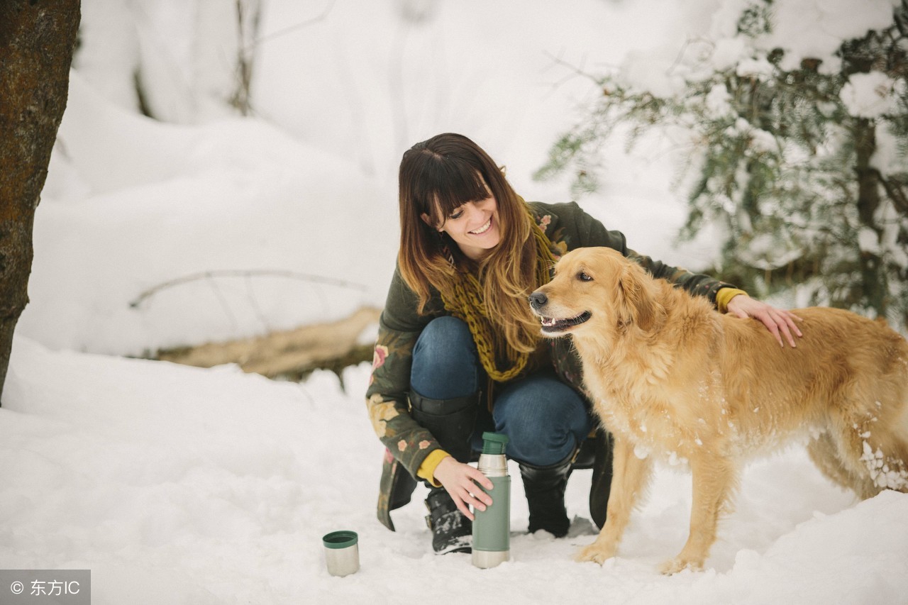 善待田园犬完整视频,善待拯救中华田园犬