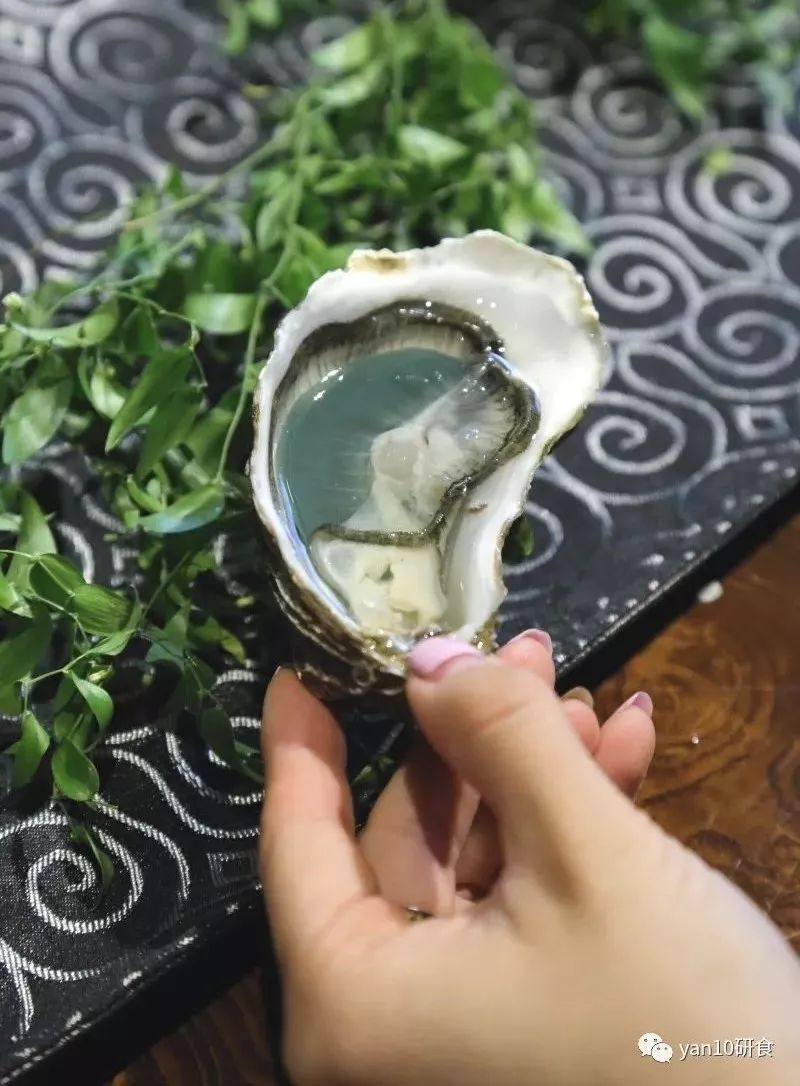 逛吃逛吃·一入蚝门深似海，只缘身在此庭中