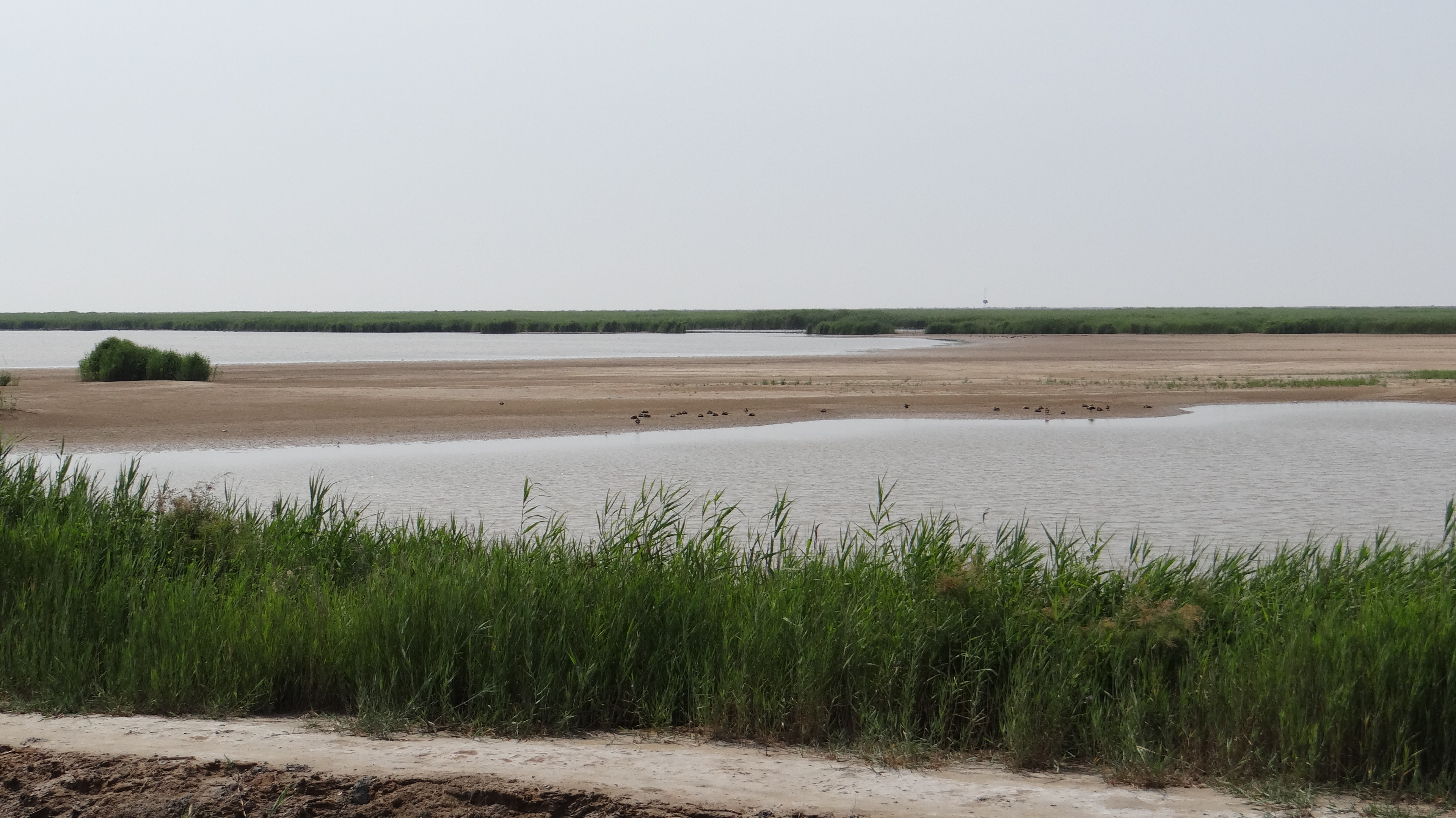 临朐土话,临朐土话小视频