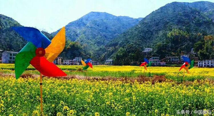 “健康微马，大美湘潭”-湘潭县微马协会为全域旅游振臂欢呼