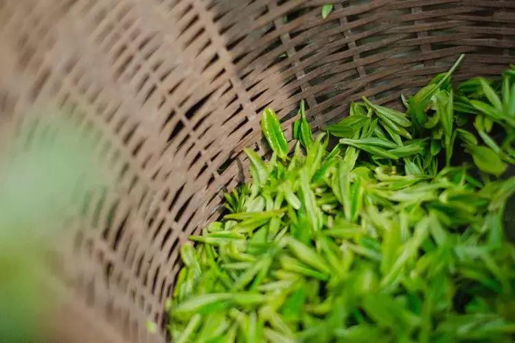 拥有季节感,是过上精致生活的第一步