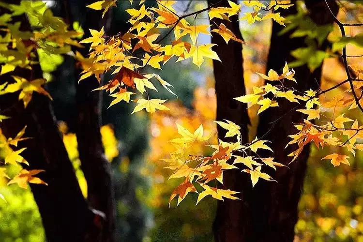 拥有季节感,是过上精致生活的第一步