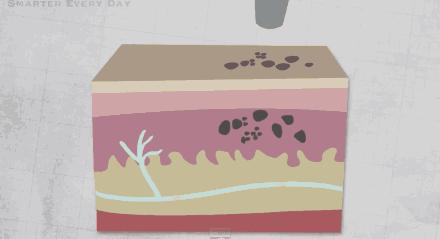 最基础最全面的医美项目是什么,有哪些比较好的医美项目