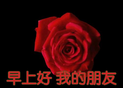 早上好的祝福语大全动图,早上好问候祝福语大全动态图