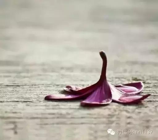 天下雨了，可以撑伞；心下雨了，该怎么办？