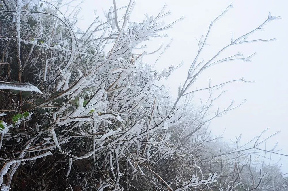 勇闯清远阳山大木村百米地下深渊，告诉你刻骨铭心的18小时！