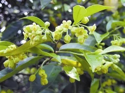 向春天出发跟着我走吧,向春天出发朗读