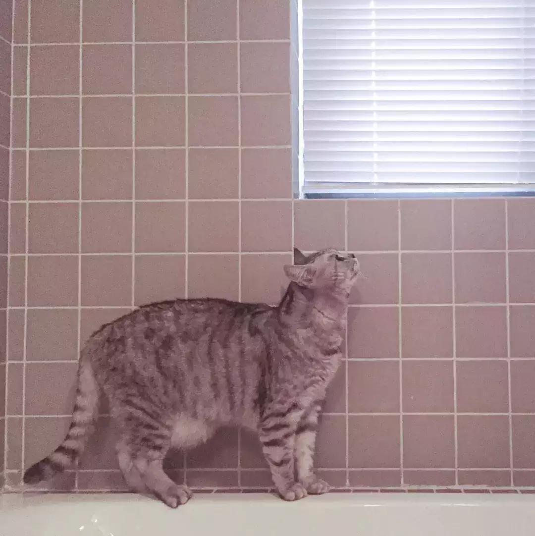 当囤货癖遇到末世,当收纳遇到断舍离