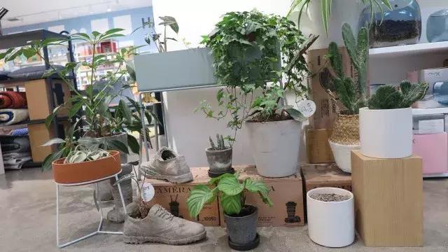 成都网红街太古里家具,成都太古里家居推荐