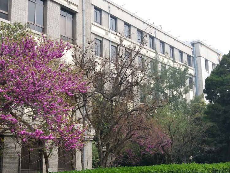 第四军医大学在全国排名,第四军医大学全口义齿修复大师