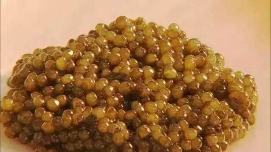 最顶级六种鱼子酱,正宗鱼子酱有哪几种