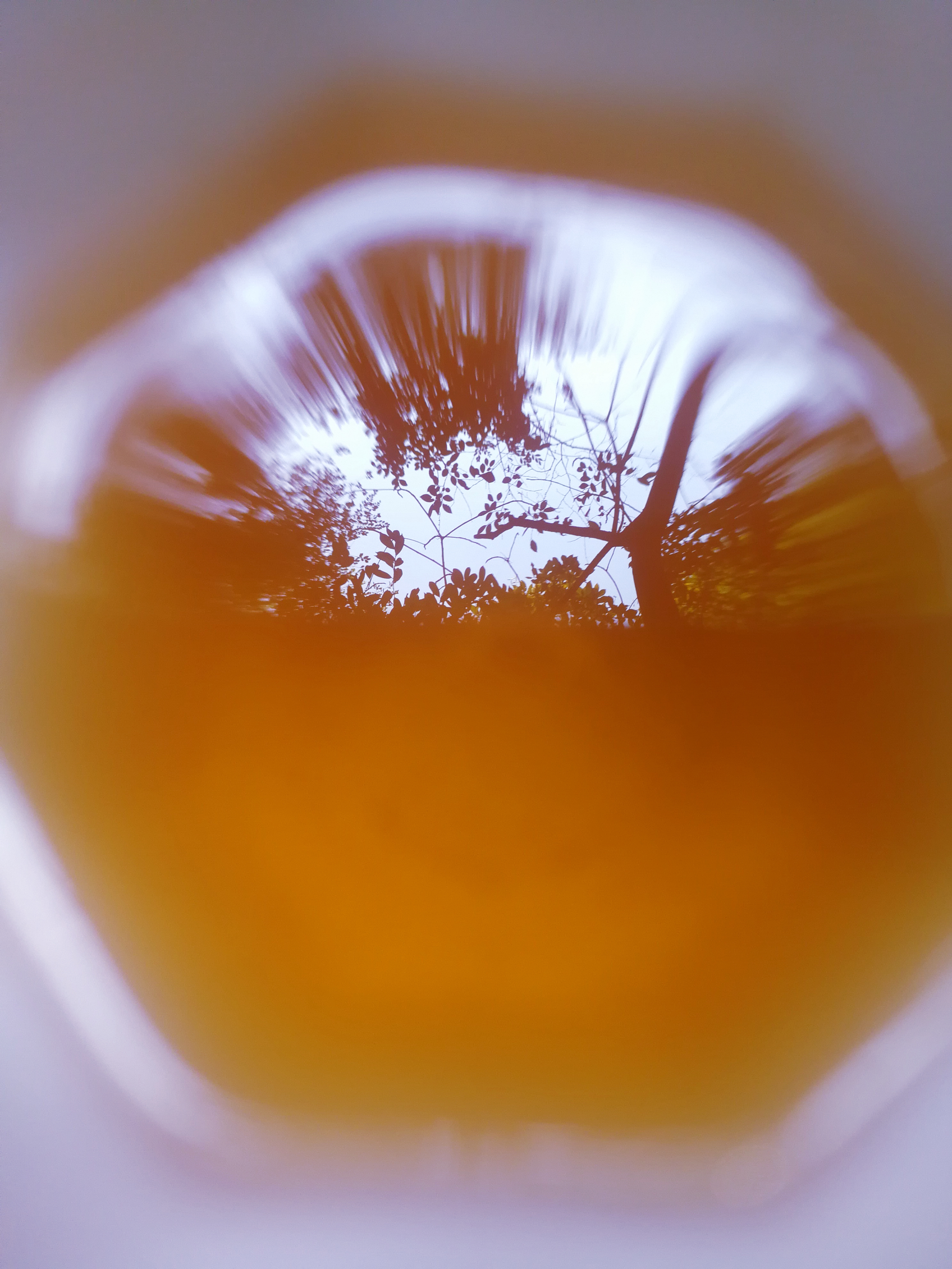 武夷岩茶大红袍冲泡方法,岩茶大红袍茶的冲泡方法