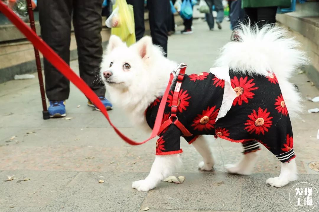 90多年前的上海菜市场,上海浦东新区最大的菜市场