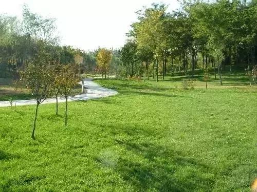 春分节气的民间习俗及养生技巧,春分节气的饮食