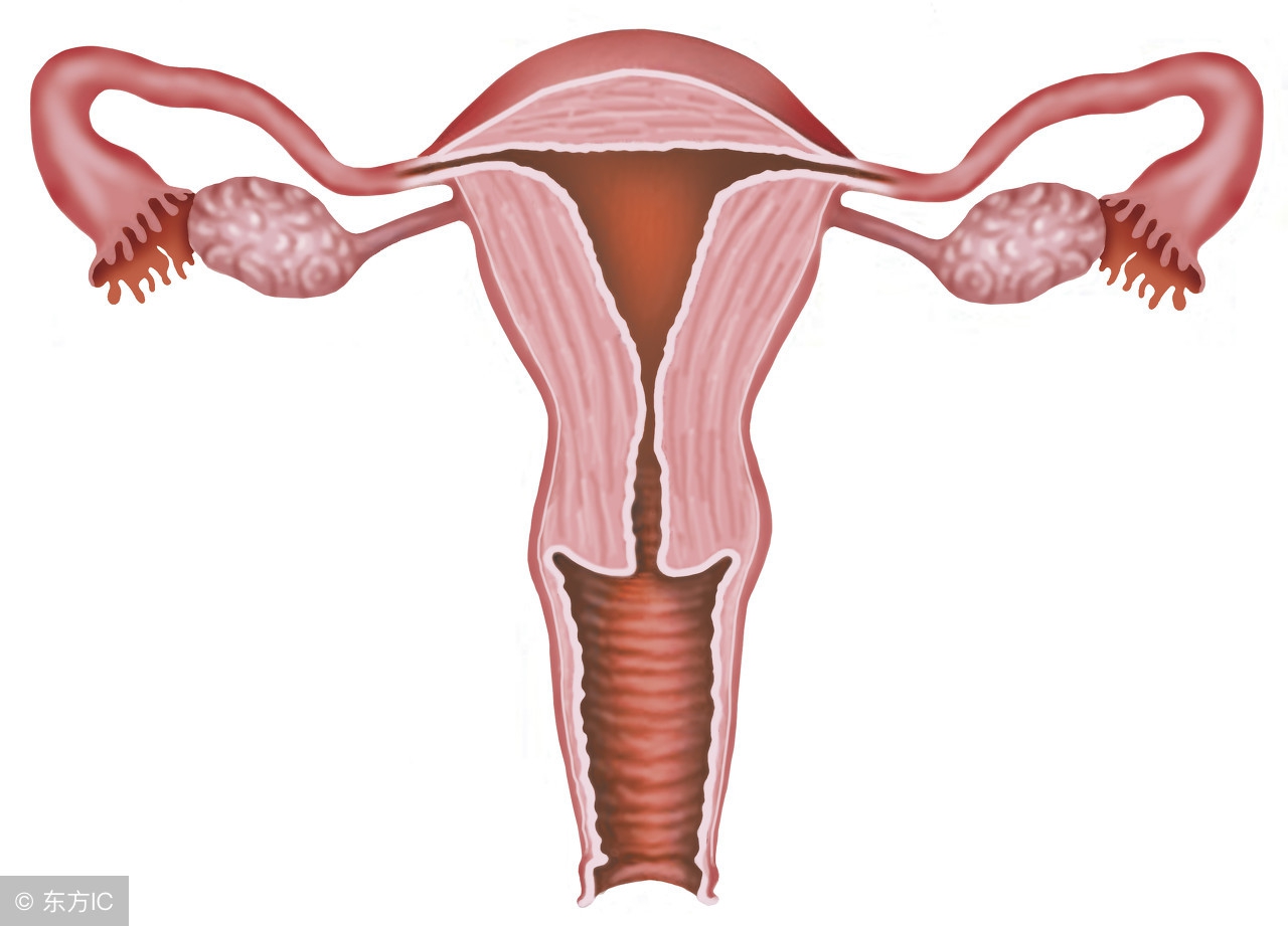 子宫颈囊肿有什么危害,宫颈囊肿和附件囊肿能同时治疗吗
