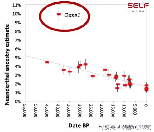 从非洲一路啪啪到东亚,我们祖先的混血史到底有多乱?