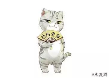 盘点中国古代猫,中国名猫有哪些猫