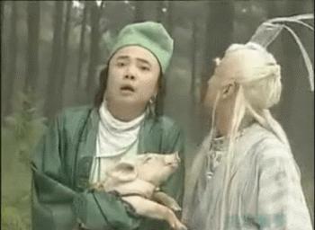 春光灿烂猪八戒系列哪一个最火,春光灿烂猪八戒饰演今昔对比