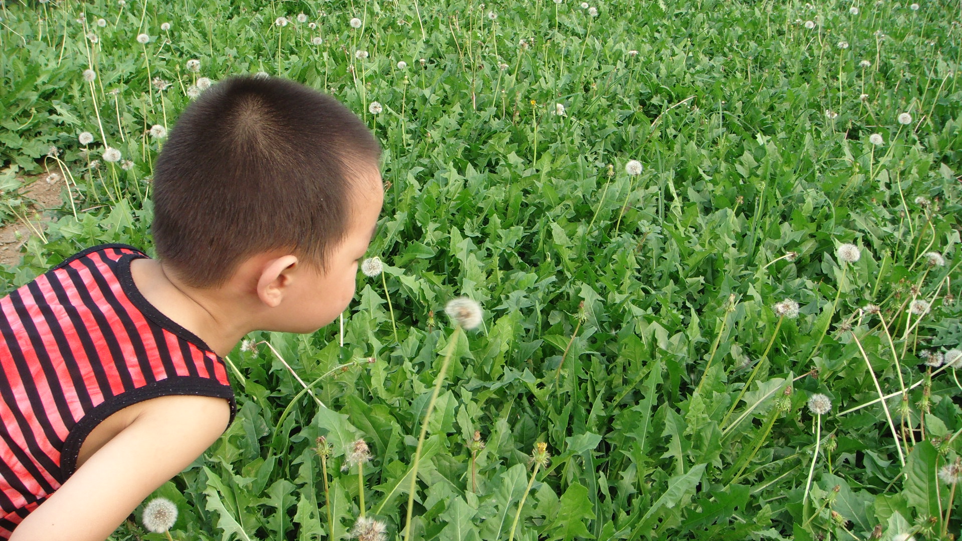 春耕购种要注意什么,春耕买农资注意什么
