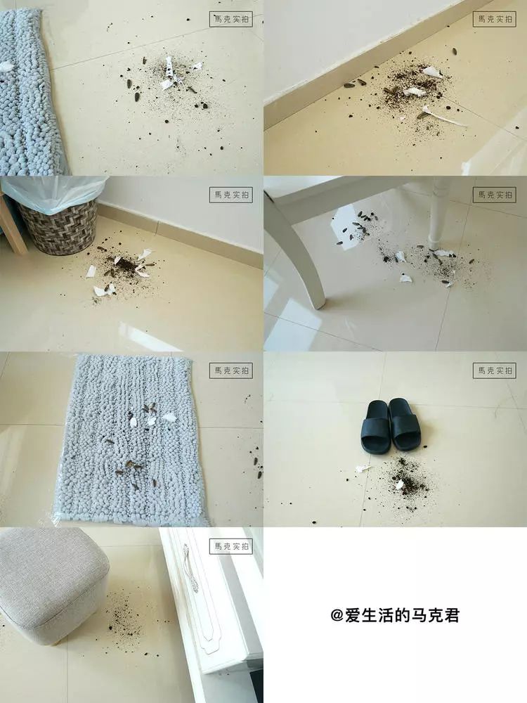 科沃斯和戴森机器人哪个好,irobotbraava擦地机器人