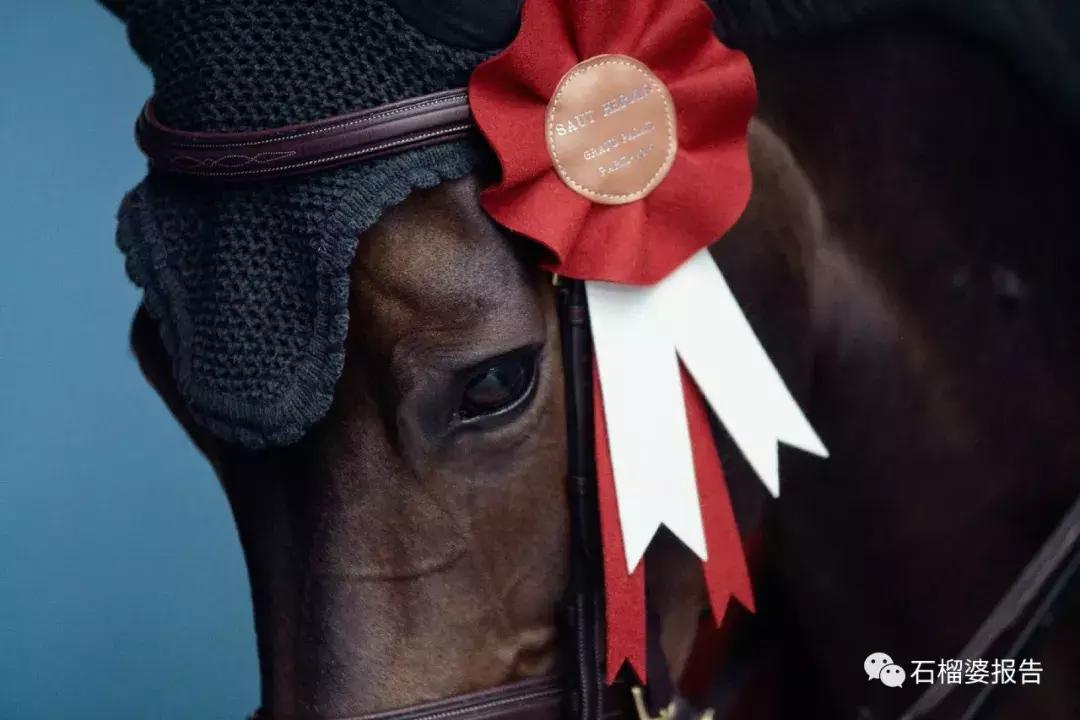 婆婆在现场|愿你跨越重重障碍，仍保持美丽姿态