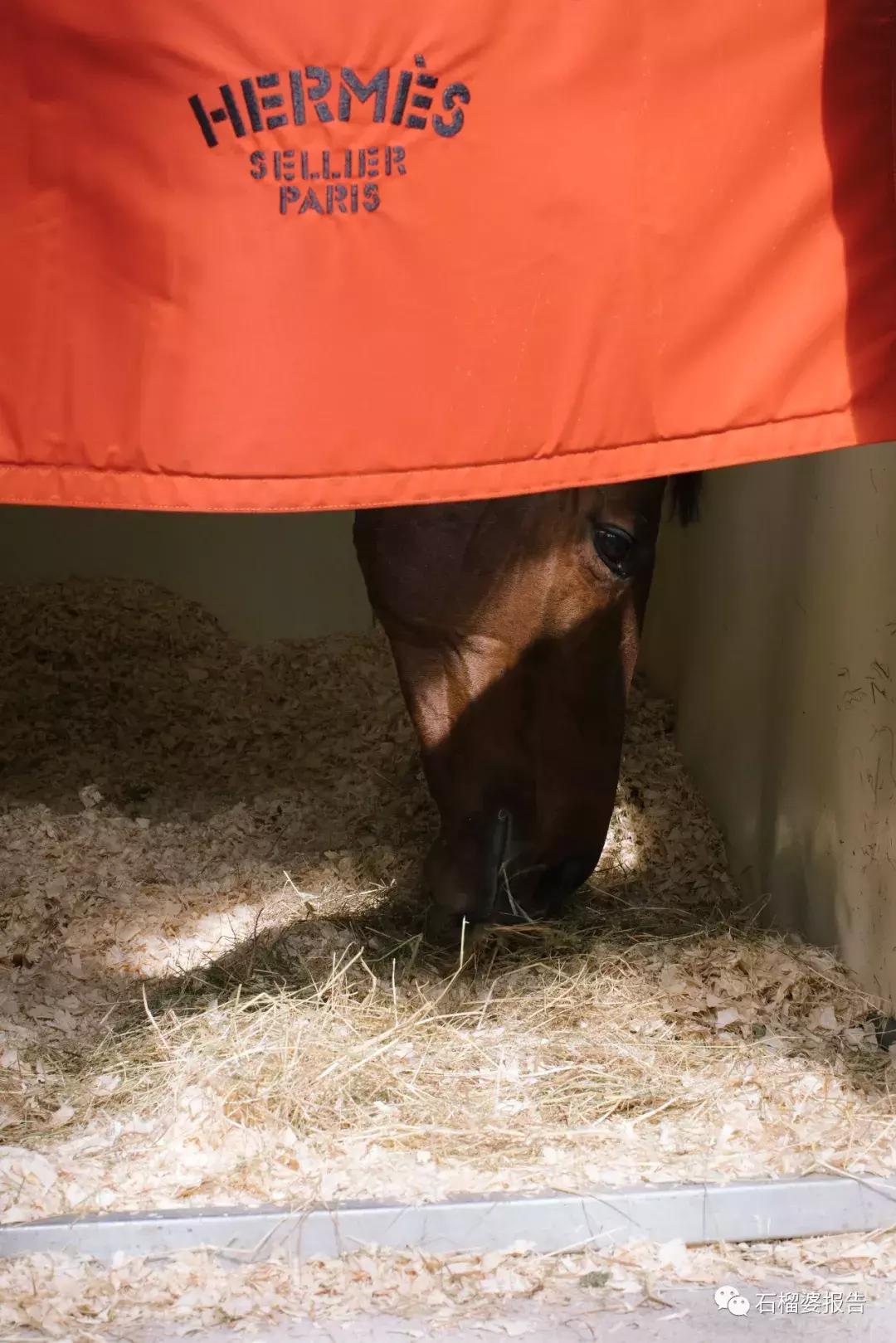 婆婆在现场|愿你跨越重重障碍，仍保持美丽姿态