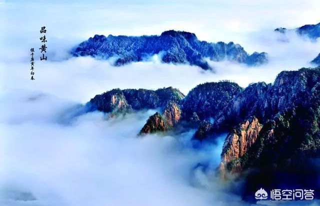 食品安全投诉和举报哪个比较狠,消费者对于食品安全维权案例