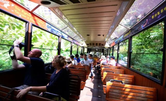 纸醉金迷的香港视频,纸醉金迷的上海滩影视剧