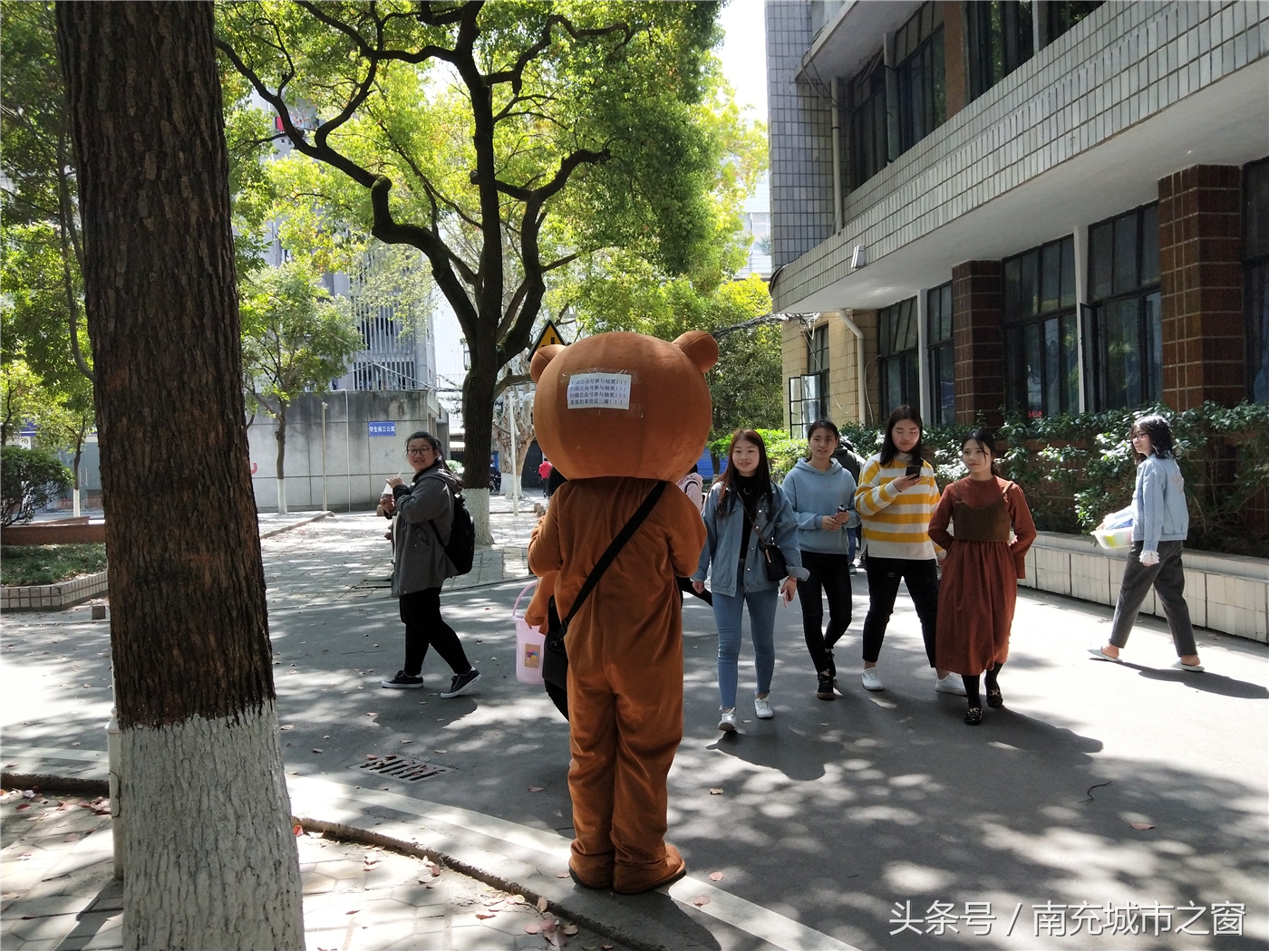 南充西华师范大学里面什么样,西华师范大学北湖校区