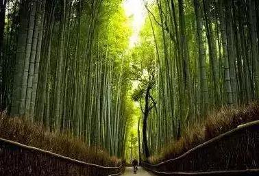 一个人的涵养是大度和宽容,包容谅解大度的人生境界