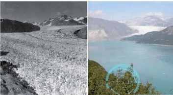 地球生态环境现状简介50字,地球生态的现状