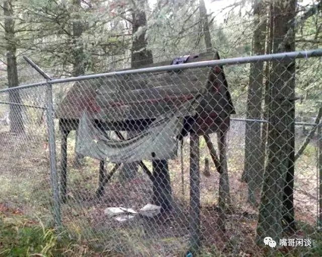 智商比霍金还高的数学天才,中国17岁考哈佛智商高过霍金